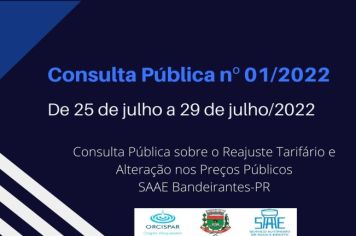 CONSULTA PÚBLICA Nº 01/2022